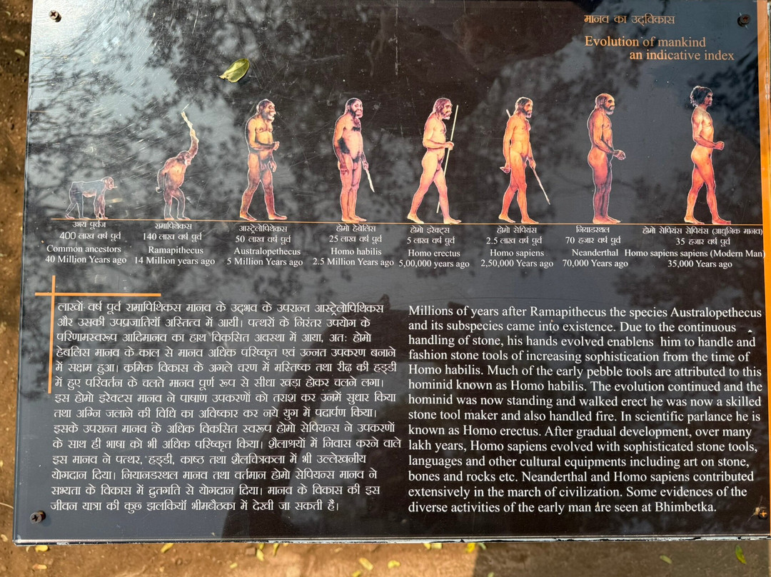 Bhimbetka Caves-Raisen必去景点