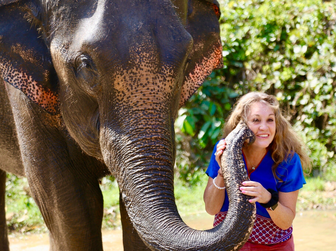 Karen Tribe Native Elephant-清迈必去景点