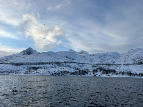 Veidemann Sailing-特罗姆瑟必去景点