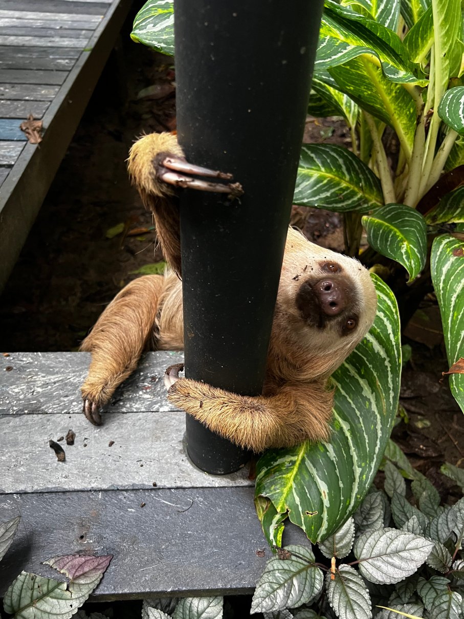 杏仁和珊瑚精品酒店-浴室
