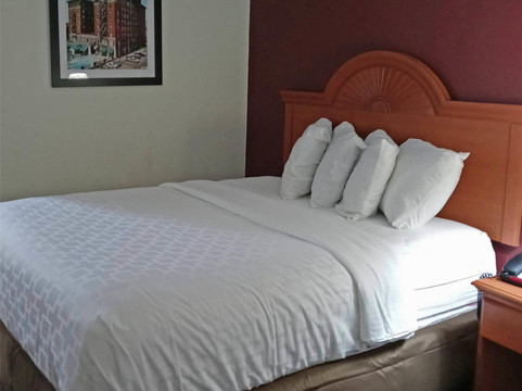 Francisco酒店住宿-Rodeway Inn