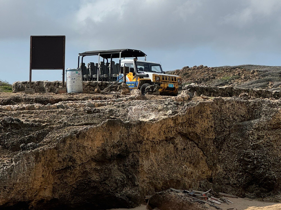 RockaBeach Tours-奥腊涅斯塔德必去景点