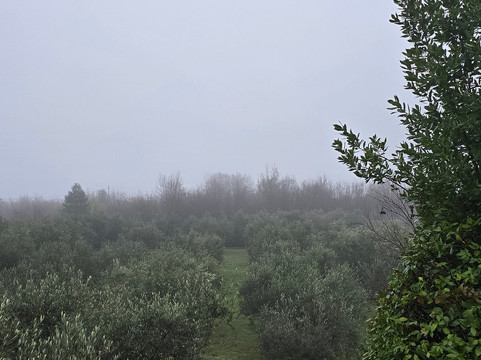 Kekovic Estate-Danilovgrad Municipality必去景点