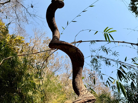 美萨瀑布-清迈必去景点