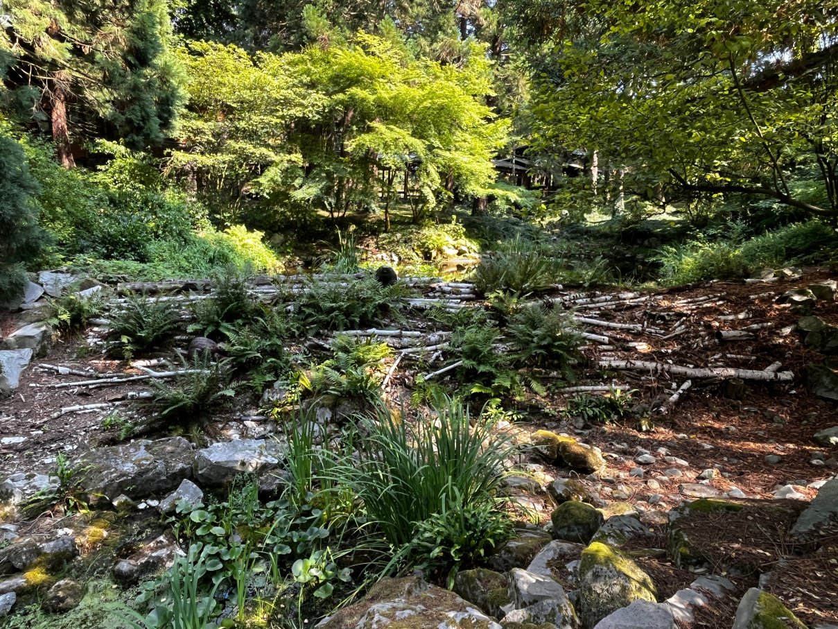 迪士尼红杉小屋®-浴室