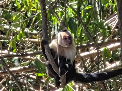 No Limit Adventures CR-利比里亚必去景点