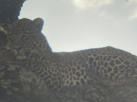 Time For African Adventures-阿鲁沙必去景点