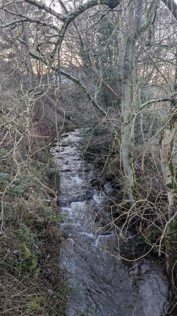 克罗斯基酒店-官方