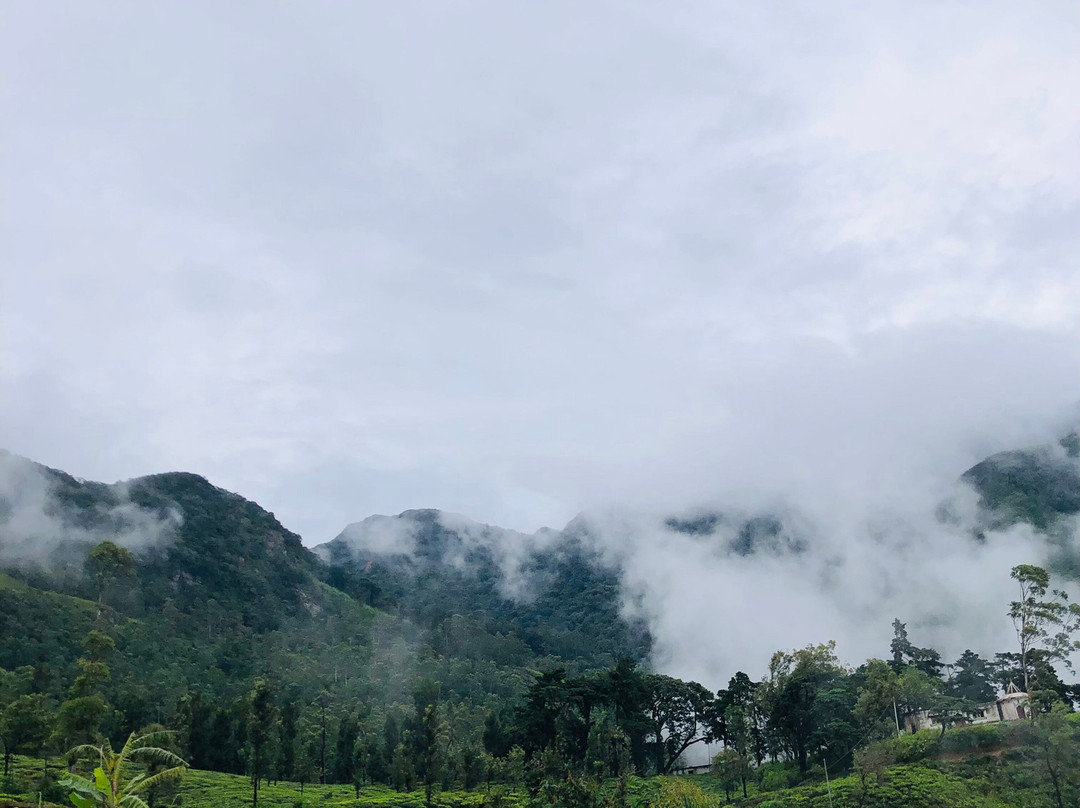 Mandaram Nuwara-Mandaramnuwara必去景点