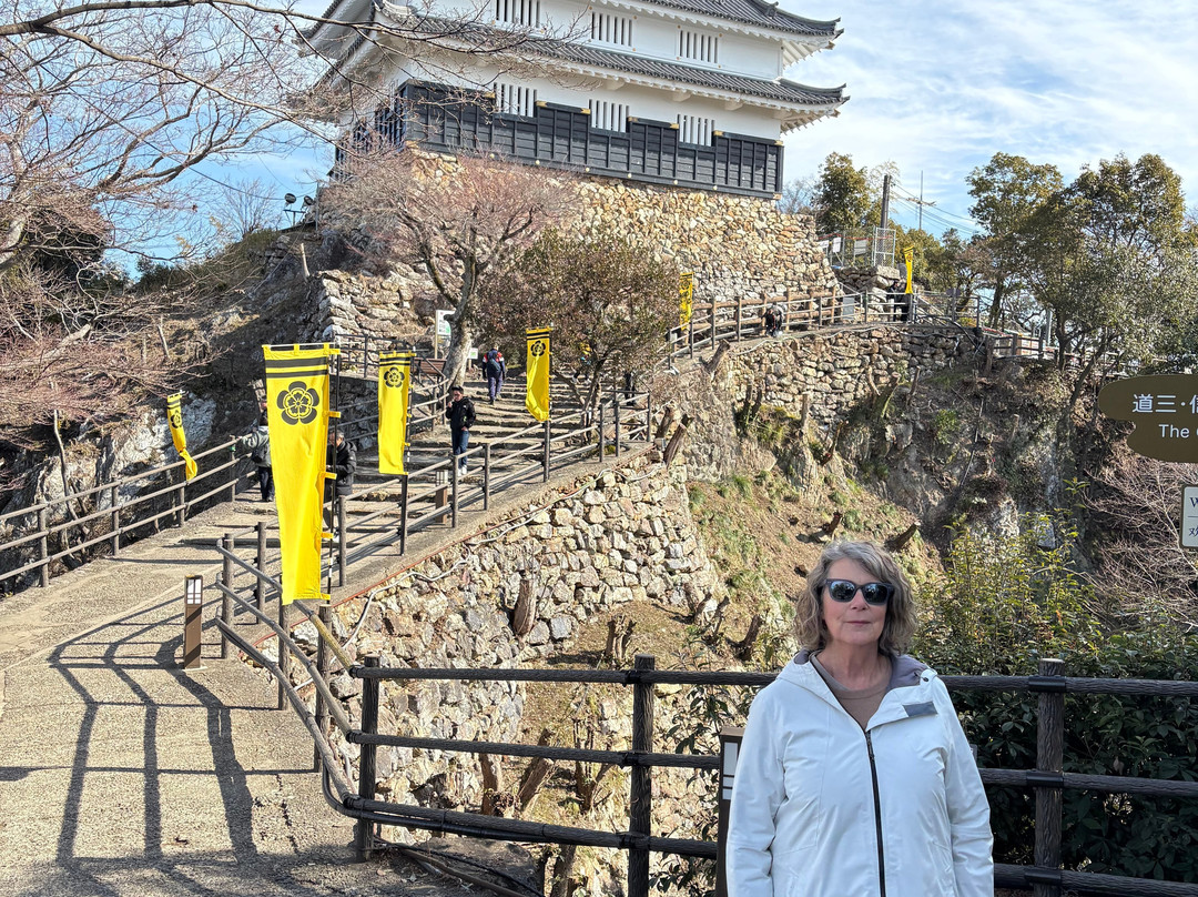 Mt. Kinka Ropeway-岐阜市必去景点