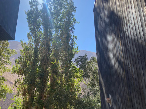 艾尔基德默斯酒店主图