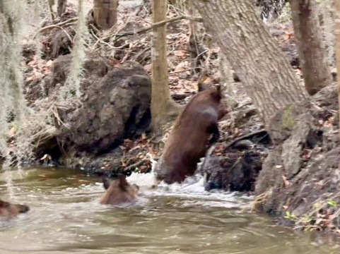 Louisiana Tour Company-Crown Point必去景点