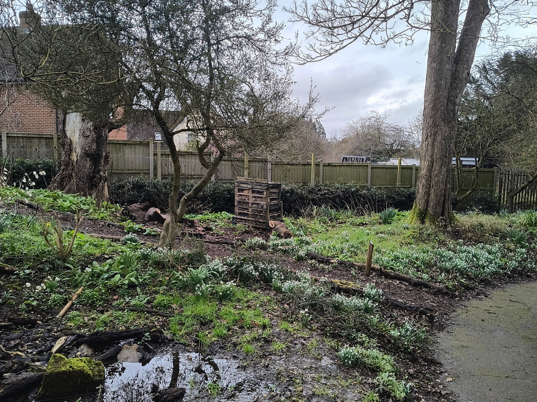 Braintree & Bocking Public Gardens-布伦特里必去景点