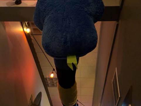 Smoky Mountain Escape Games-皮金福奇必去景点