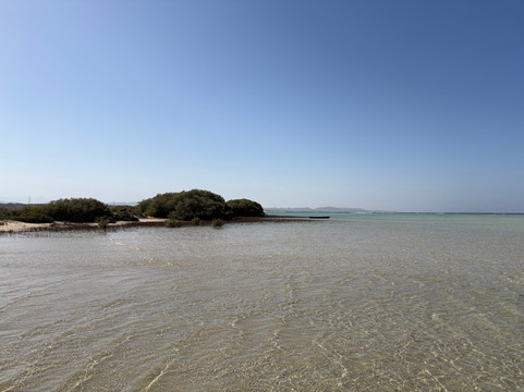 Marsa Alam Tours-马萨阿拉姆必去景点