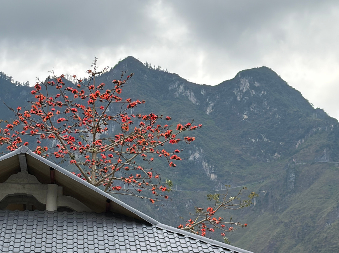 Ha Giang Open Tour- OHC Travel ( Ha Giang & Cao Bang Loop Tour)-Hoan Kiem必去景点