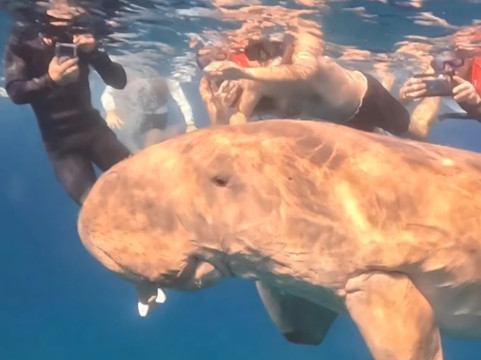 Marsa Alam Tours-赫尔格达必去景点