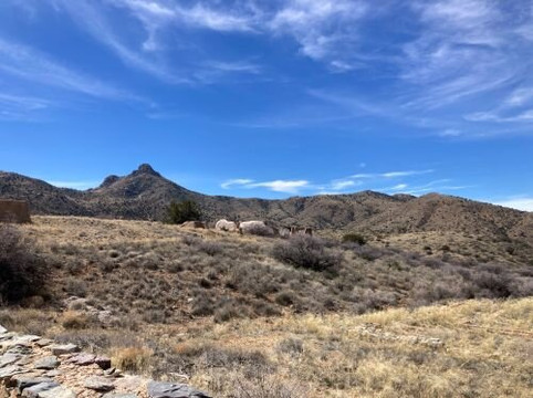Fort Bowie National Historic Site-Willcox必去景点