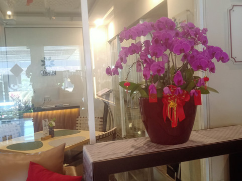 普拉纳亚精品酒店主图