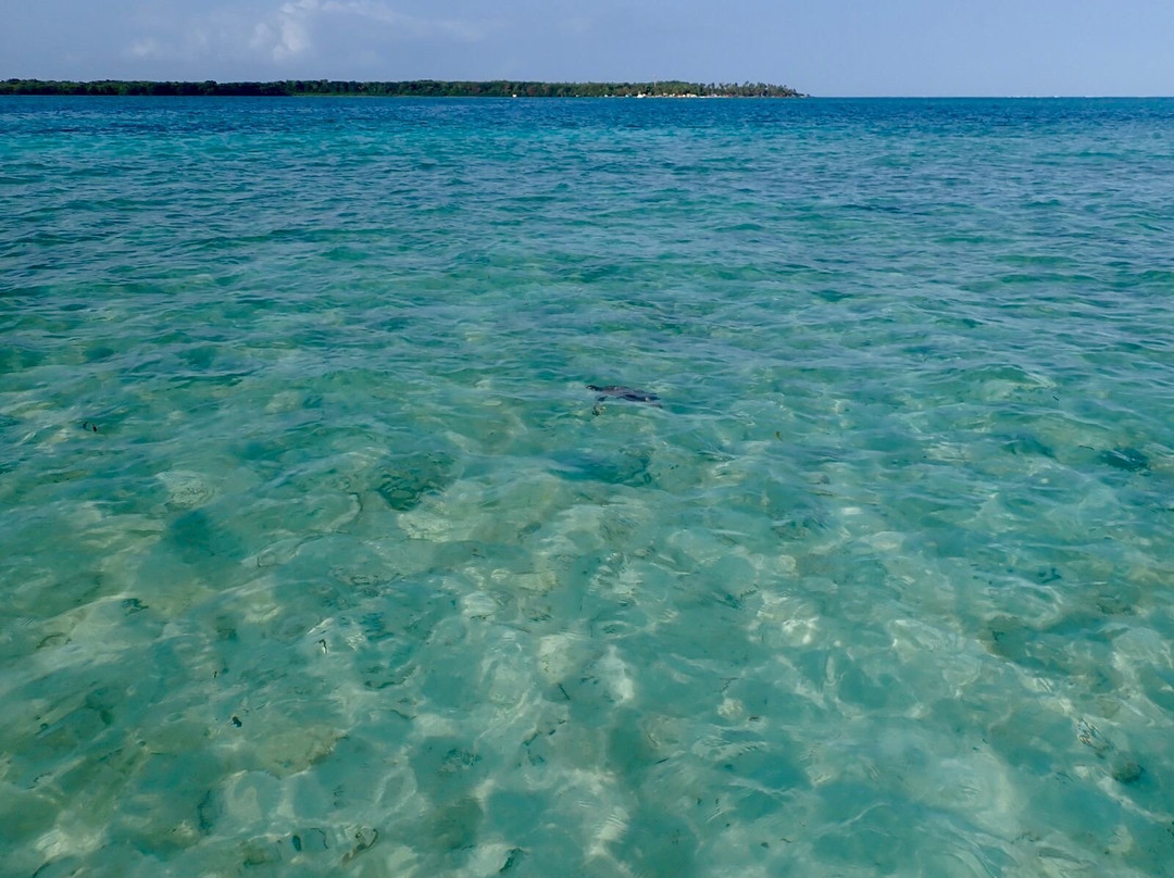 Stand Up Paddle Tobago-Canaan必去景点