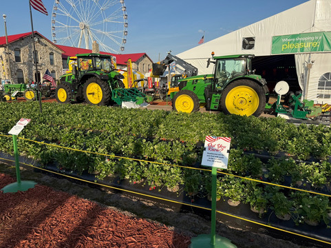 Florida Strawberry Festival