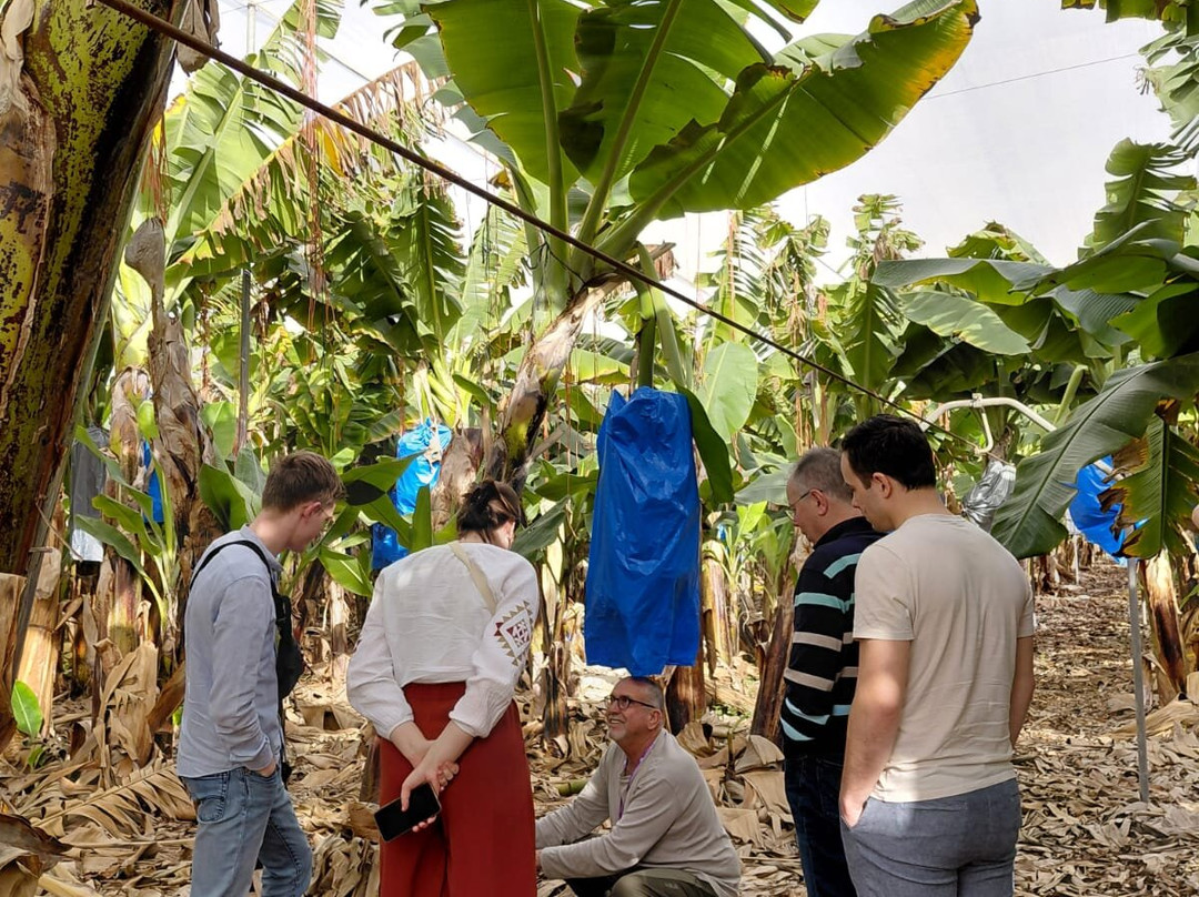 Avner Muller - Private Tour Guide-特拉维夫必去景点