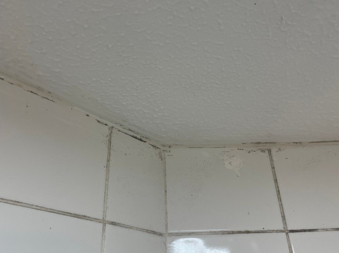 普瑞米尔沃灵顿中心酒店主图