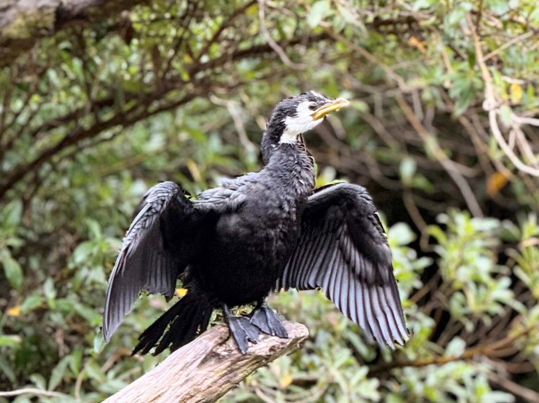 Waka Puna - Paddle and Pedal-普纳凯基必去景点