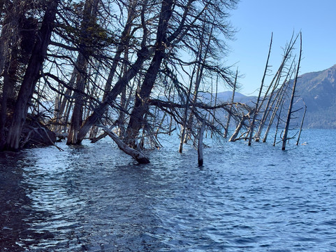 Bosque Sumergido-Villa Traful必去景点