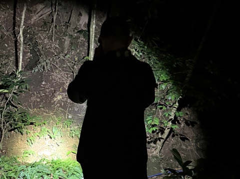 Monteverde Nature Tracks-蒙特沃德必去景点