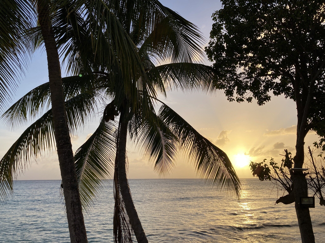 Milestone Bar And Grill/ Cici's