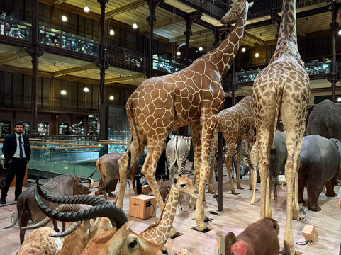 大演化厅-巴黎必去景点