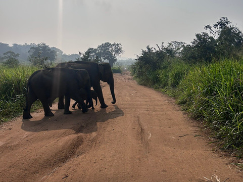 D.S Tours Day Tours-尼甘布必去景点