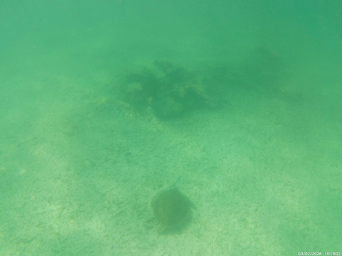 Lizeta Tours.-Mahahual必去景点