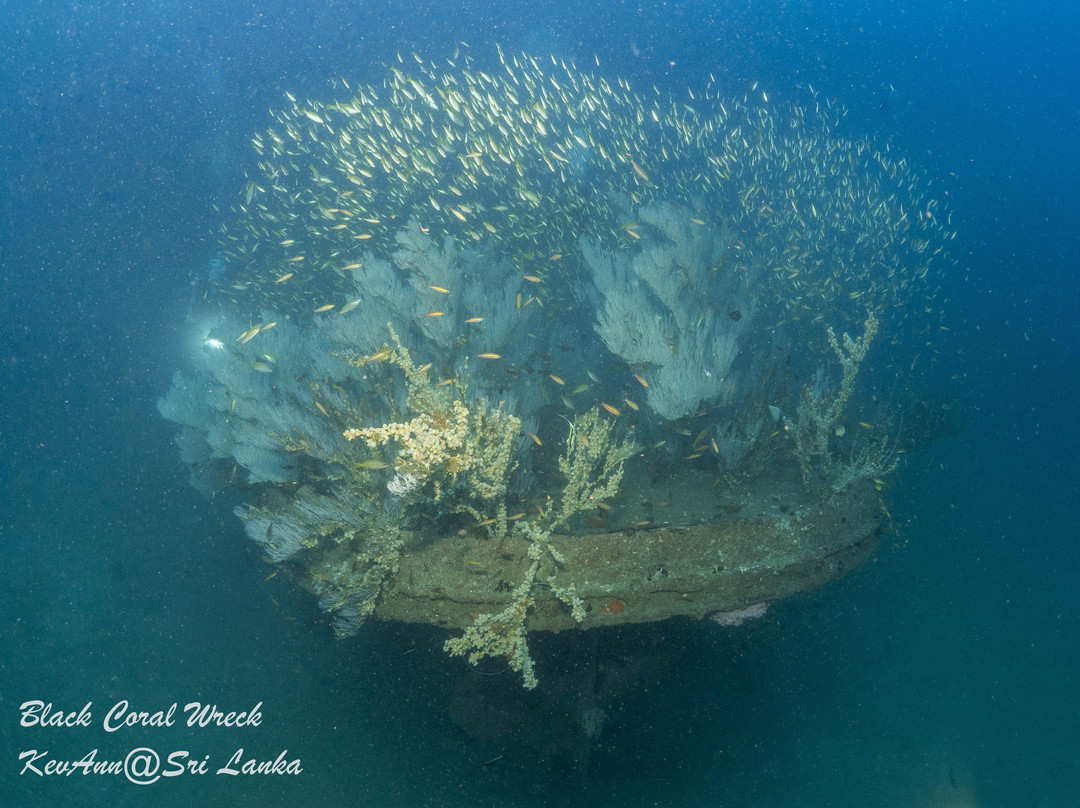 Scuba Addicts-拉非尼亚山必去景点