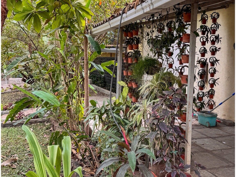 Japalouppe Equestrian Centre-Talegaon必去景点