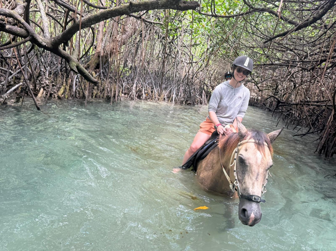 Santo Horse Adventures-卢甘维尔必去景点