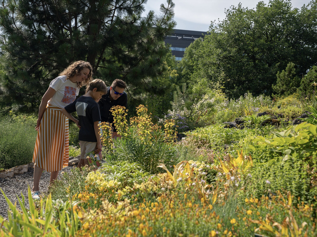 Utrecht University Botanic Gardens-乌特勒支必去景点