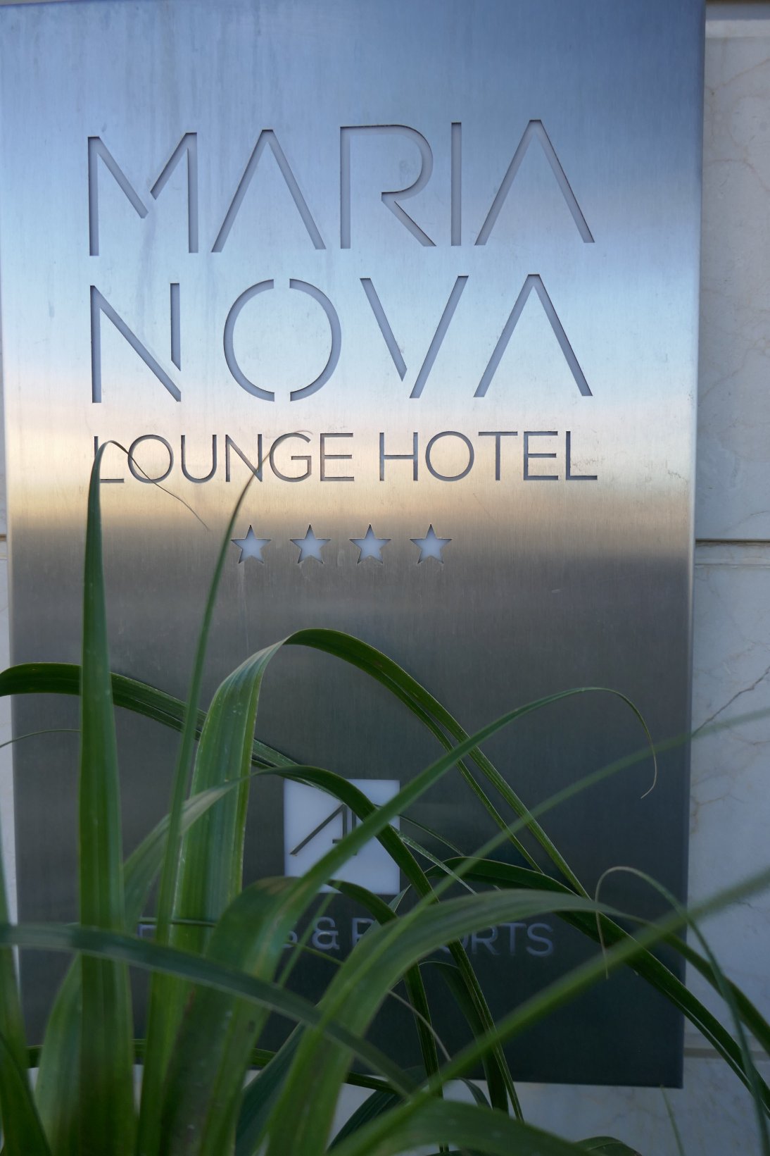 AP 玛丽亚诺娃酒廊 - 限成人-官方