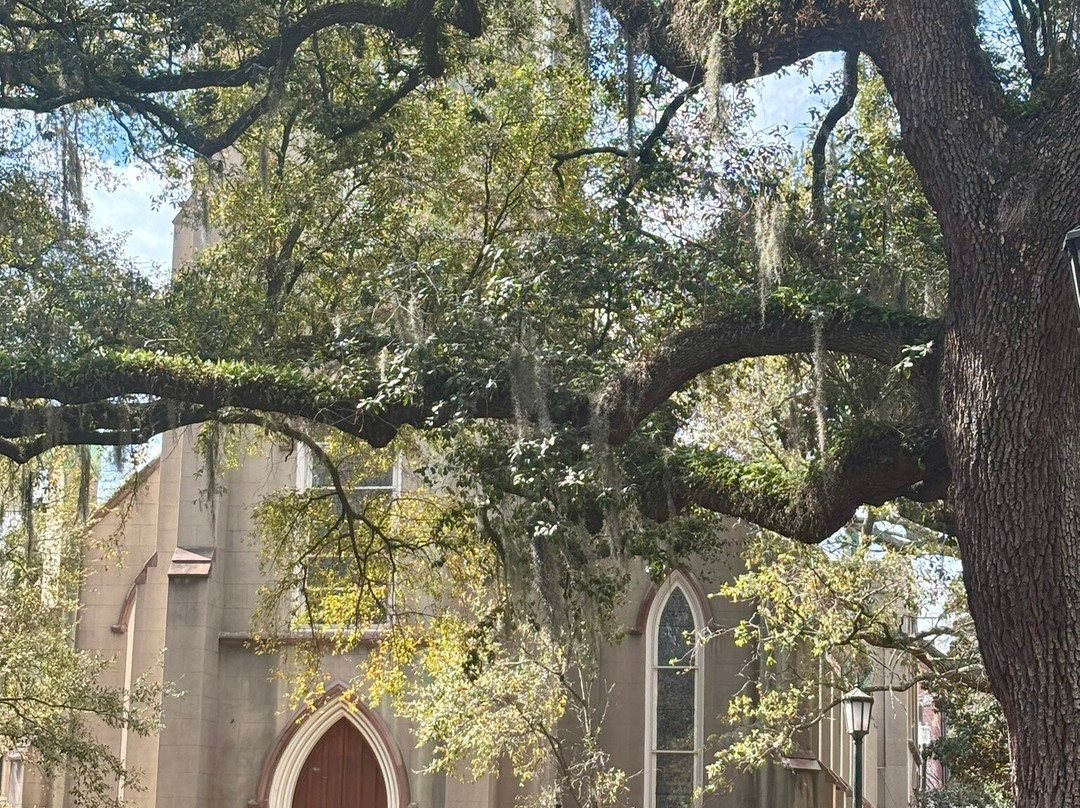 Savannah True History Tours-萨凡纳必去景点