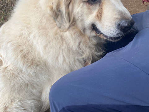 Rio Vivo-瓦尔迪维亚必去景点