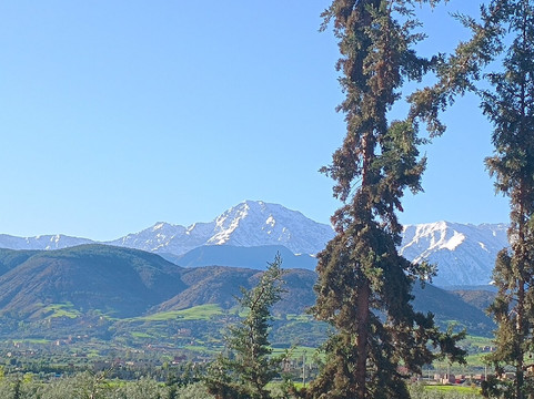 卡斯巴阿特菲尔酒店主图