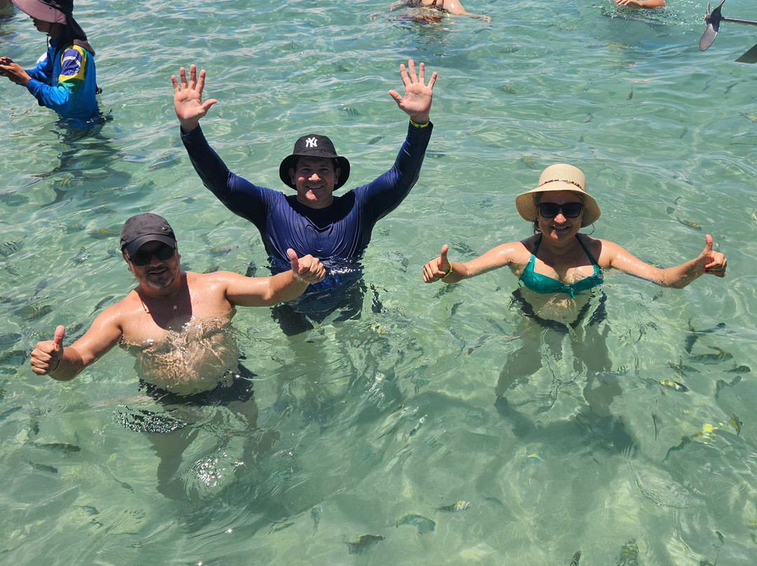 Passeios praias da rota ecológica dos milagres-Porto de Pedras必去景点