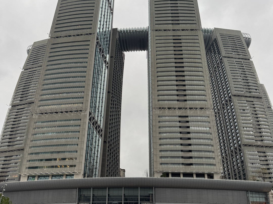 Raffles City Mall Chongqing-重庆市必去景点