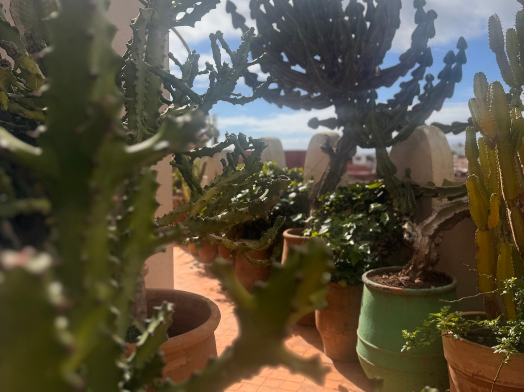 里亚德塔玛纳旅馆主图