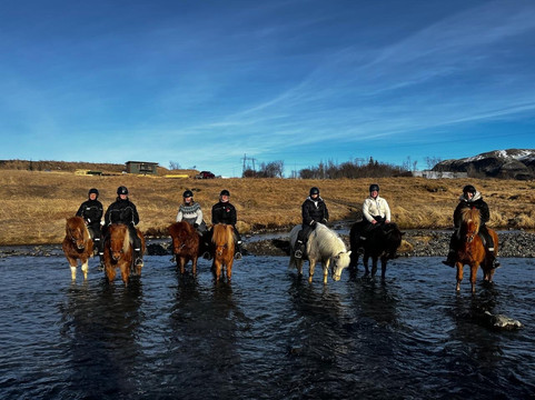 Eldhestar Volcano Horses-Olfus必去景点