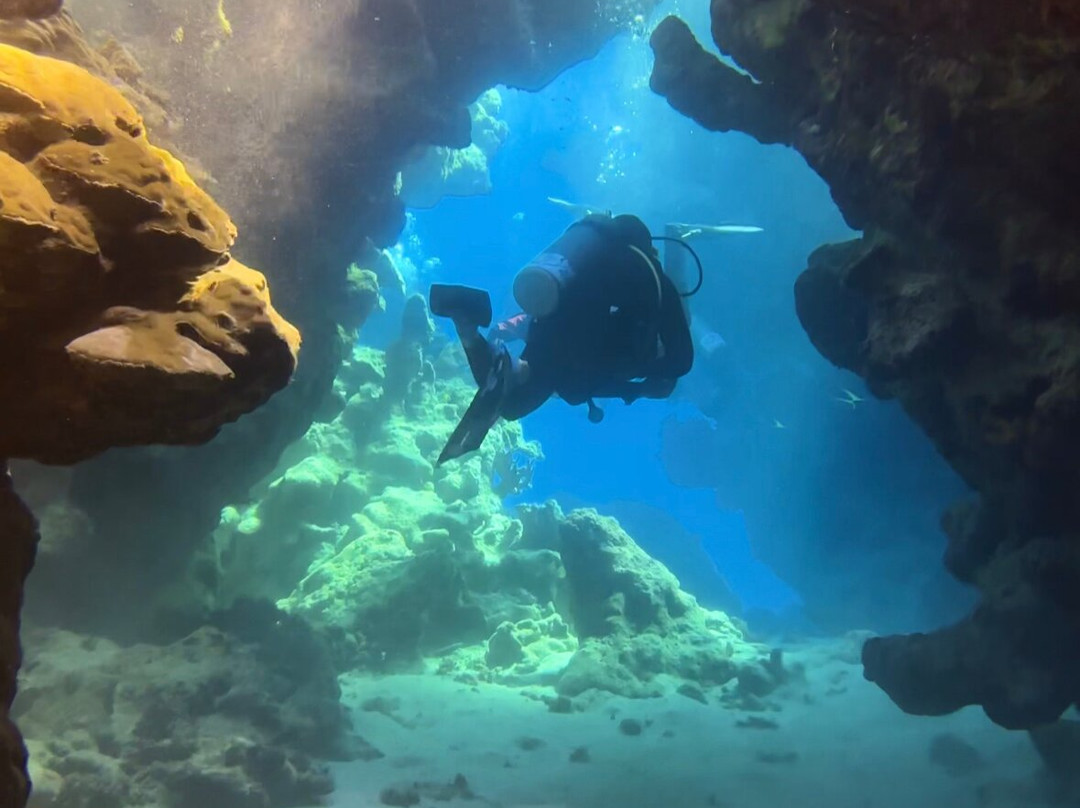 Volkert Dive Center-Safaga必去景点