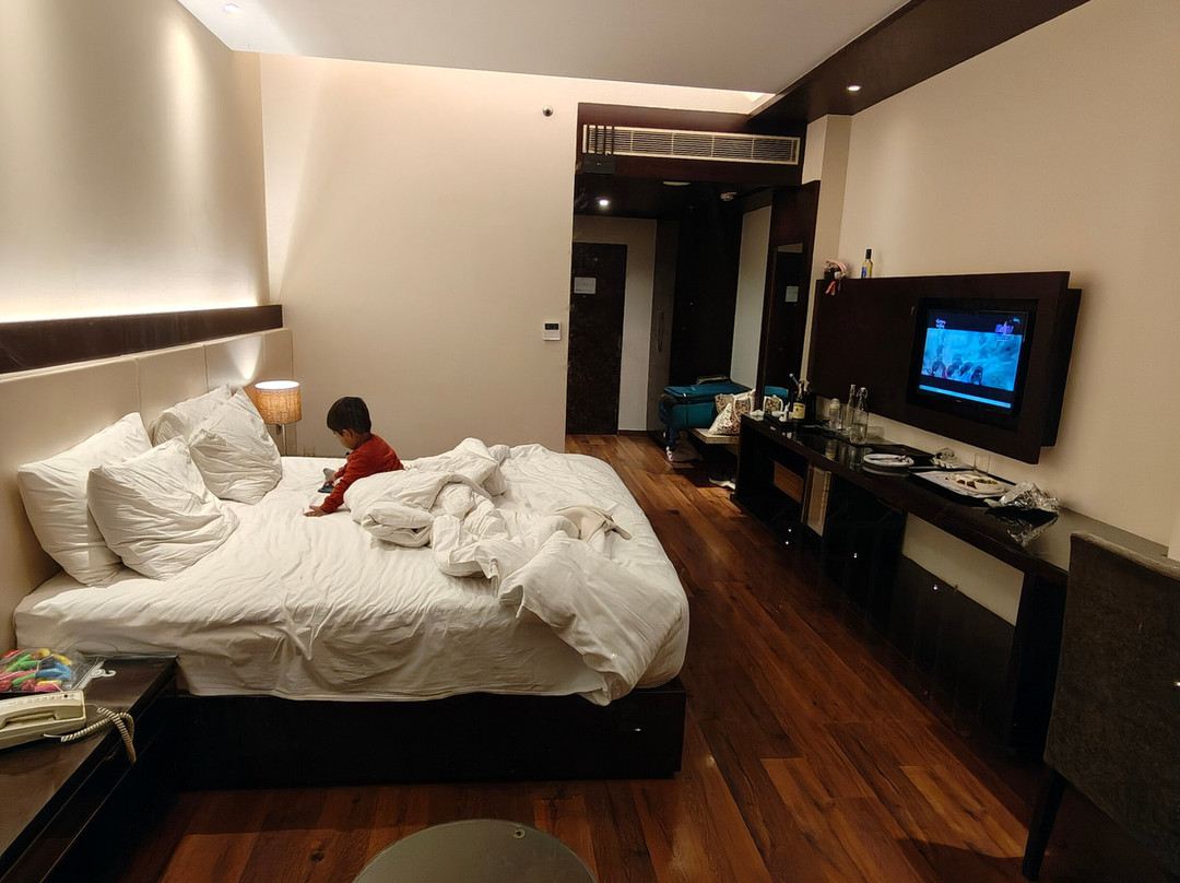 马利戈尔德萨诺瓦波蒂西姆拉酒店主图