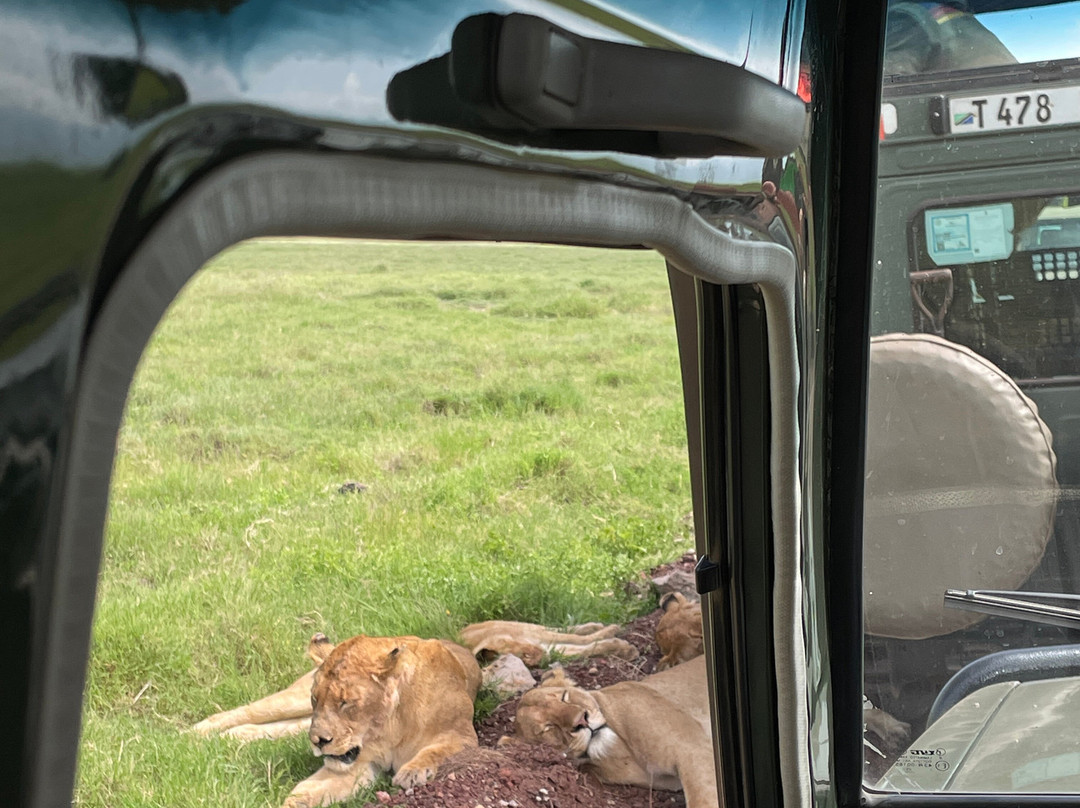 Termite Tour Travel-阿鲁沙必去景点