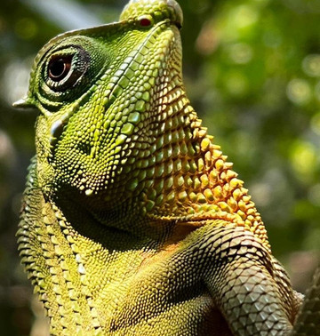 Ceylon leisure travels with sanju-Ja Ela必去景点